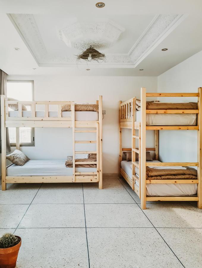 Cactus Surf House Hostel Tamraght Εξωτερικό φωτογραφία
