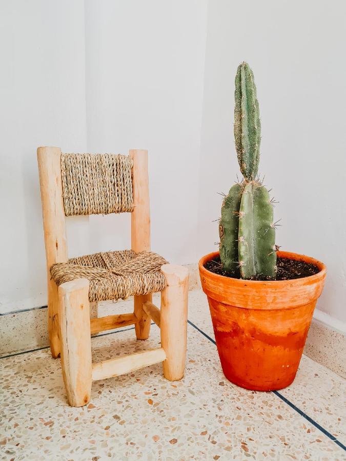 Cactus Surf House Hostel Tamraght Εξωτερικό φωτογραφία